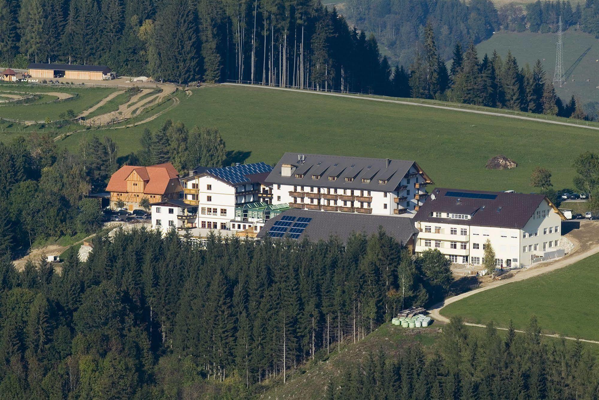 Hotel Moselebauer Bad Sankt Leonhard im Lavanttal Extérieur photo